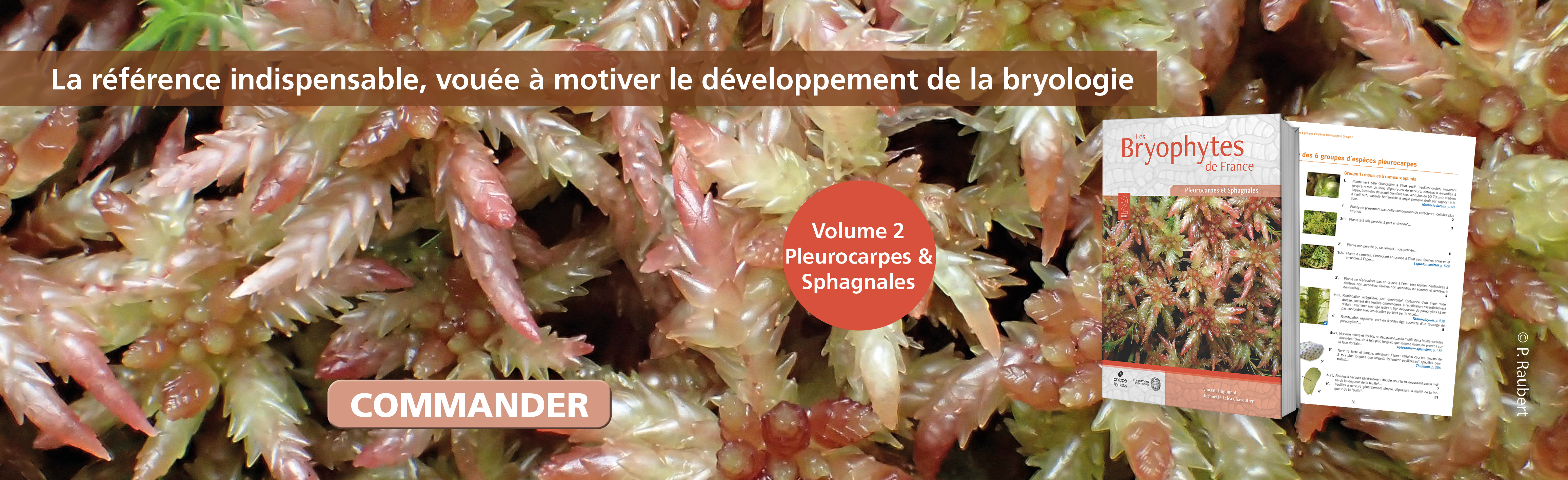 Les Bryophytes de France Tome 2 - Pleurocarpes et Sphagnales 